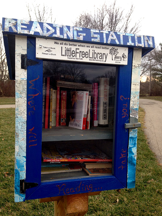 Little Library Picture