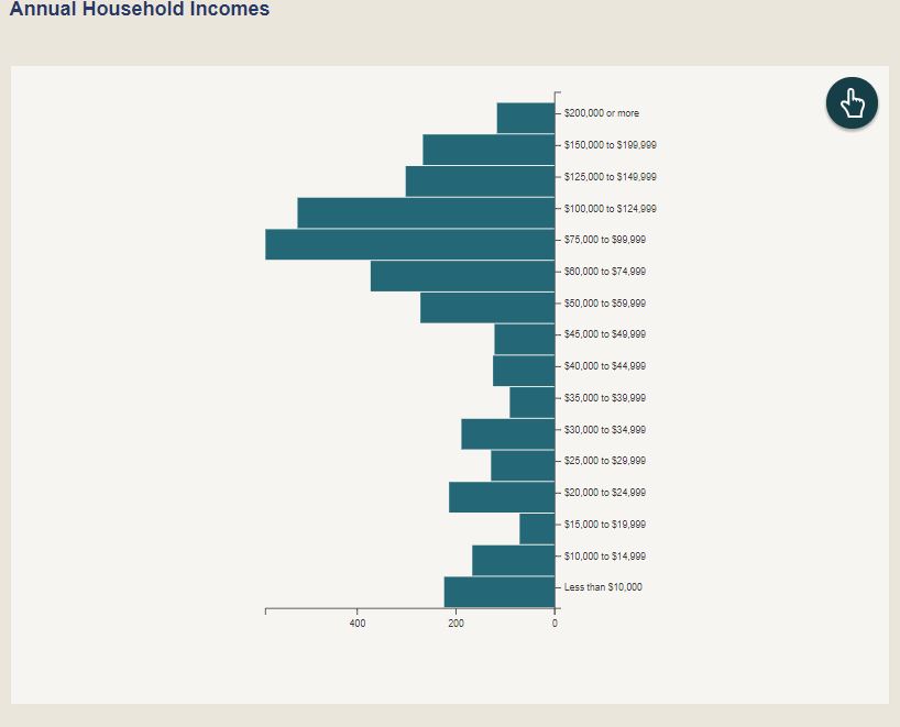 Income Profile Pie Chart