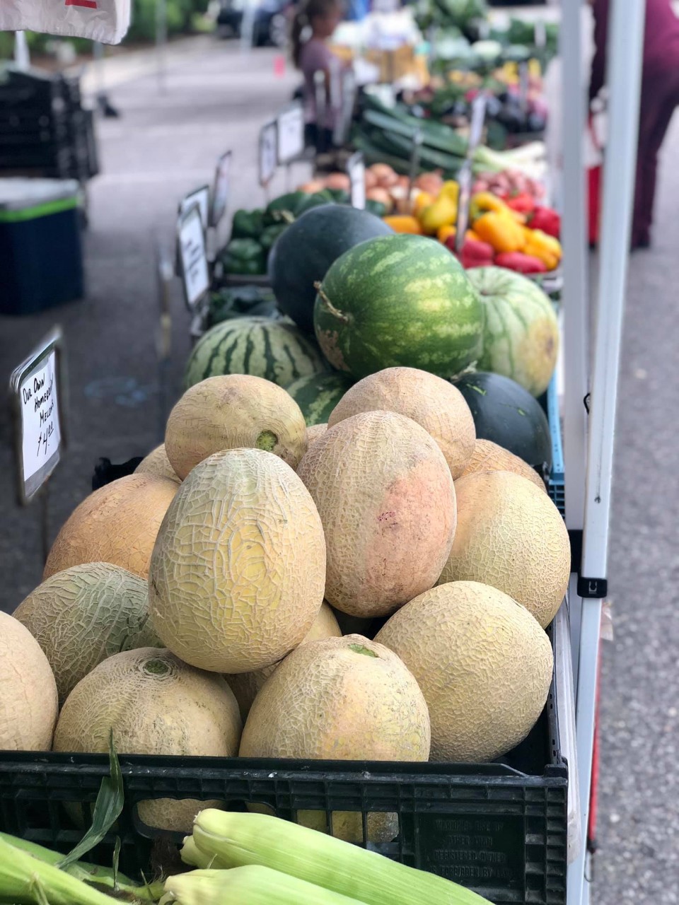 Melons at the Farmers Market